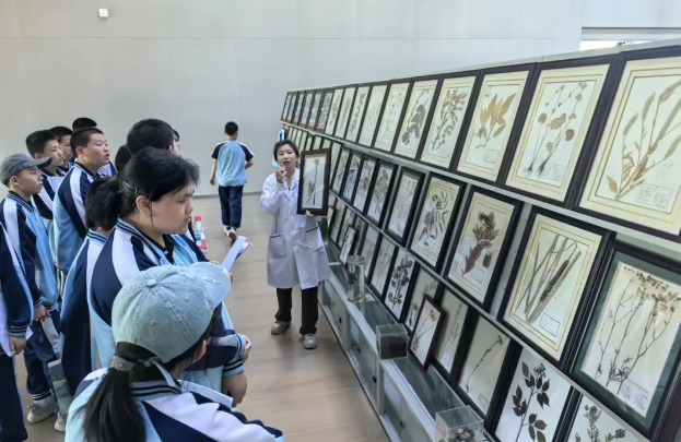 图片1(4).png 图片1(4).png